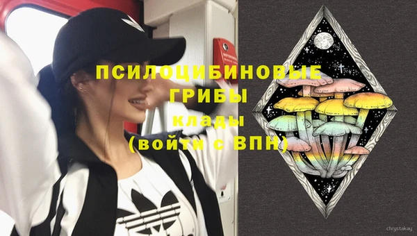 дурь Кулебаки