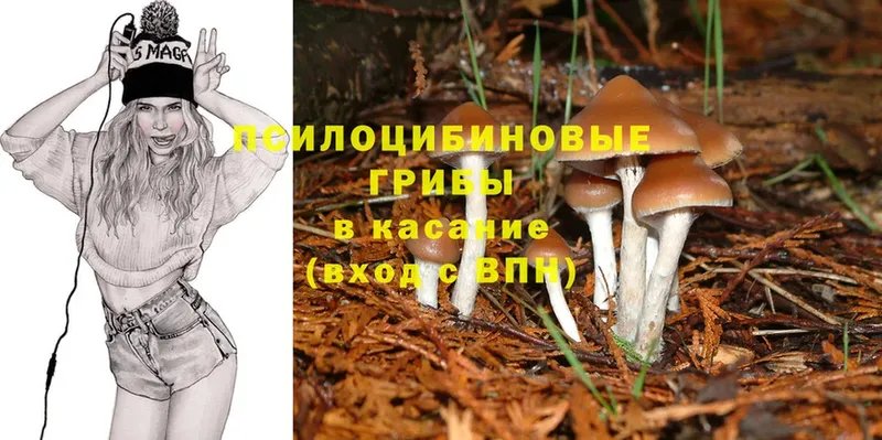 Галлюциногенные грибы Magic Shrooms  цена наркотик  Спасск-Рязанский 